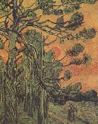 Vincent Van Gogh Pine Trees against a Red Sky with Setting Sun (nn04) Spain oil painting artist